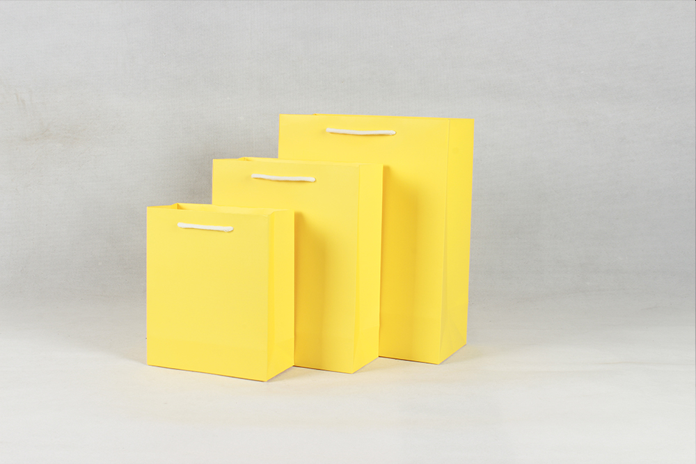 時尚橫版白卡黃色禮品紙袋