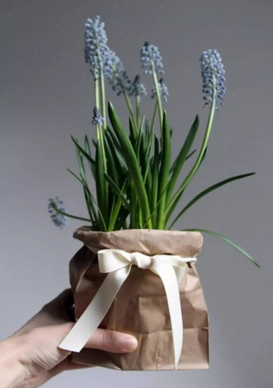 情人節(jié)鮮花市場大賣 高規(guī)格包裝取代傳統(tǒng)包裝 情人節(jié)鮮花市場大賣 高規(guī)格包裝取代傳統(tǒng)包裝