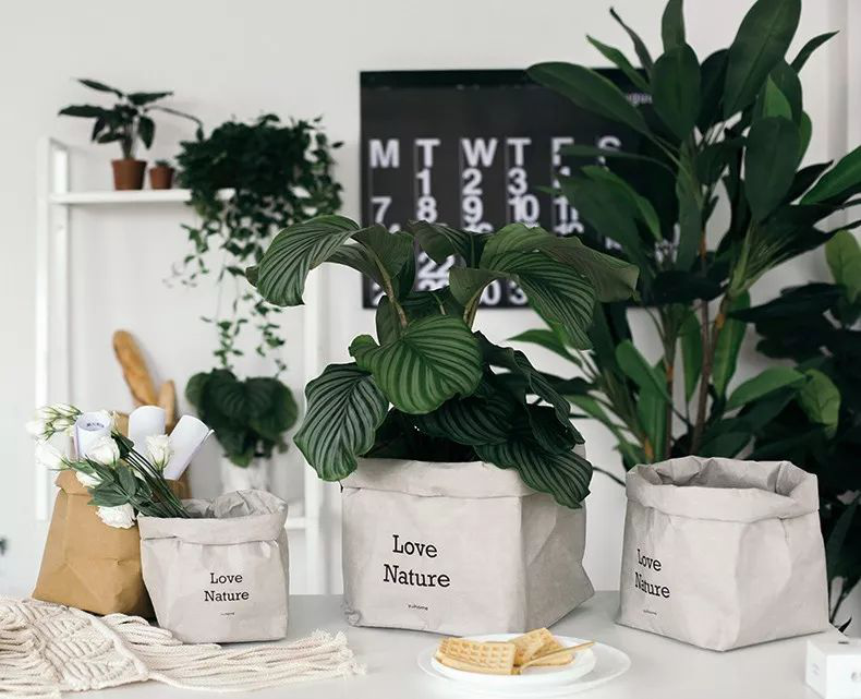 巧用牛皮紙袋收納，還你一個舒適的家！